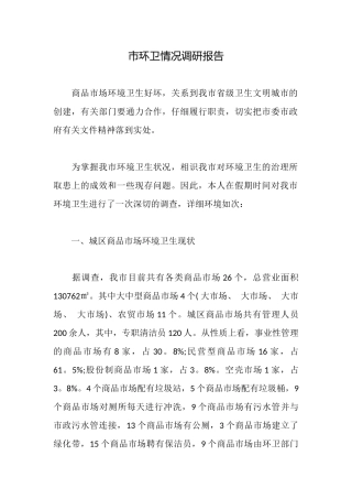 市环卫情况调研报告