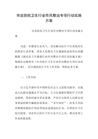 市皮防院卫生行业作风整治专项行动实施方案