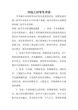 市级三好学生评语