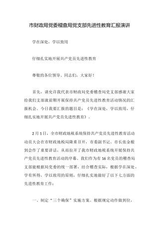 市财政局党委稽查局党支部先进性教育汇报演讲