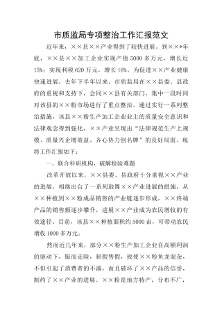 市质监局专项整治工作汇报范文