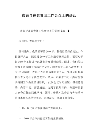 市领导在共青团工作会议上的讲话