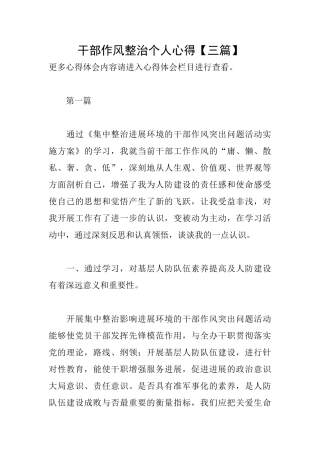 干部作风整治个人心得