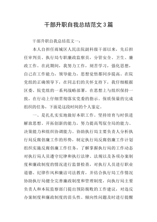 干部升职自我总结范文3篇