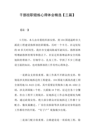 干部挂职锻炼心得体会精选