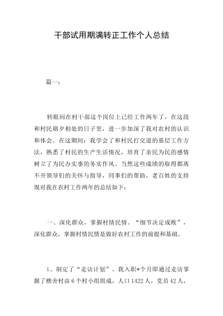 干部试用期满转正工作个人总结