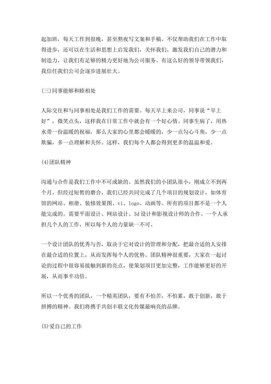 平面设计师个人工作总结范文2025_第2页