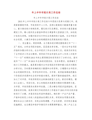 年上半年市统计局工作总结