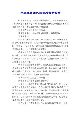 年度优秀团队获奖感言精彩篇