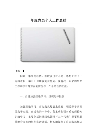 年度党员个人工作总结