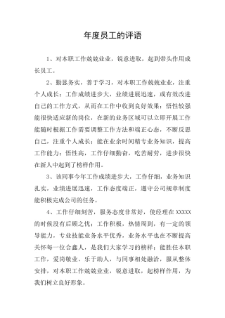 年度员工的评语