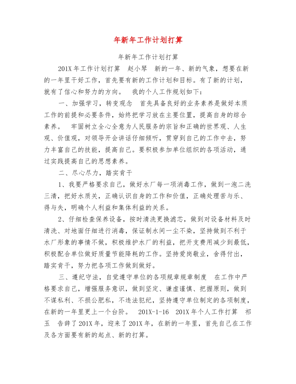 年新年工作计划打算_第1页