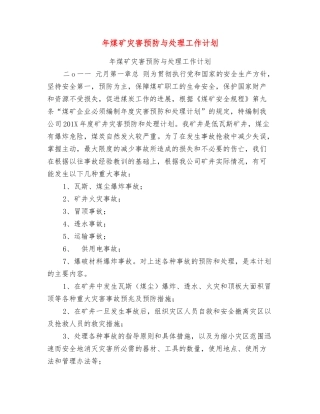 年煤矿灾害预防与处理工作计划