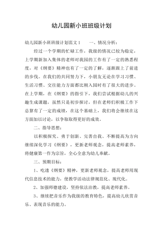幼儿园新小班班级计划