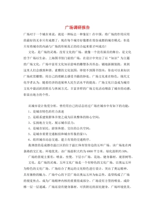 广场调研报告