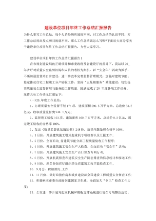 建设单位项目年终工作总结汇报报告