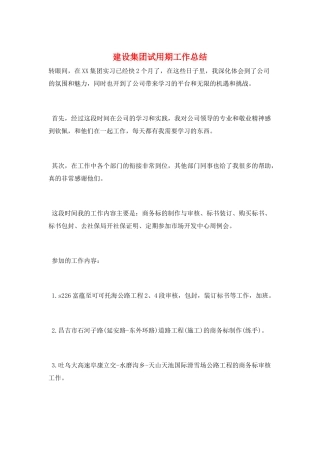 建设集团试用期工作总结