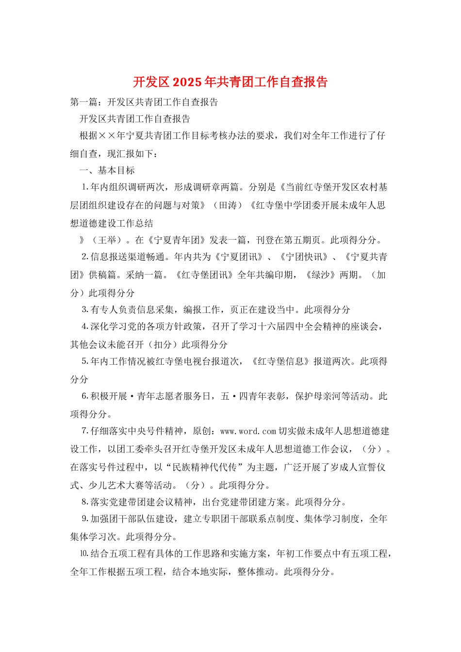 开发区2025年共青团工作自查报告_第1页