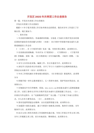 开发区2025年共青团工作自查报告
