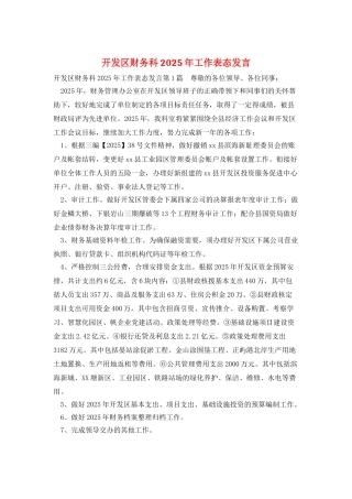 开发区财务科2025年工作表态发言