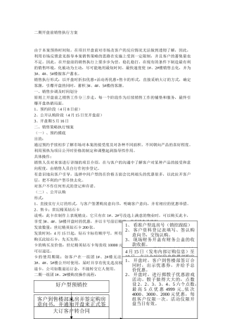 开盘前销售执行方案