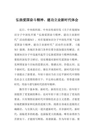 弘扬爱国奋斗精神、建功立业新时代体会