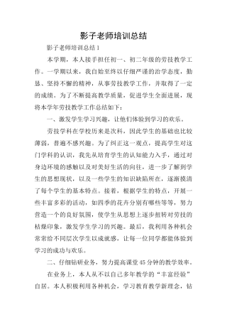 影子教师培训总结