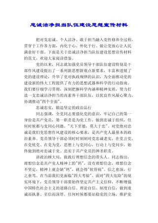 忠诚干净担当队伍建设思想宣传材料