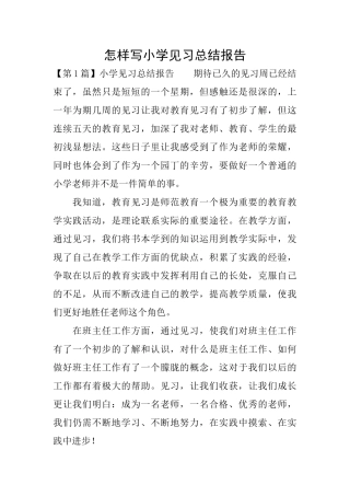 怎样写小学见习总结报告