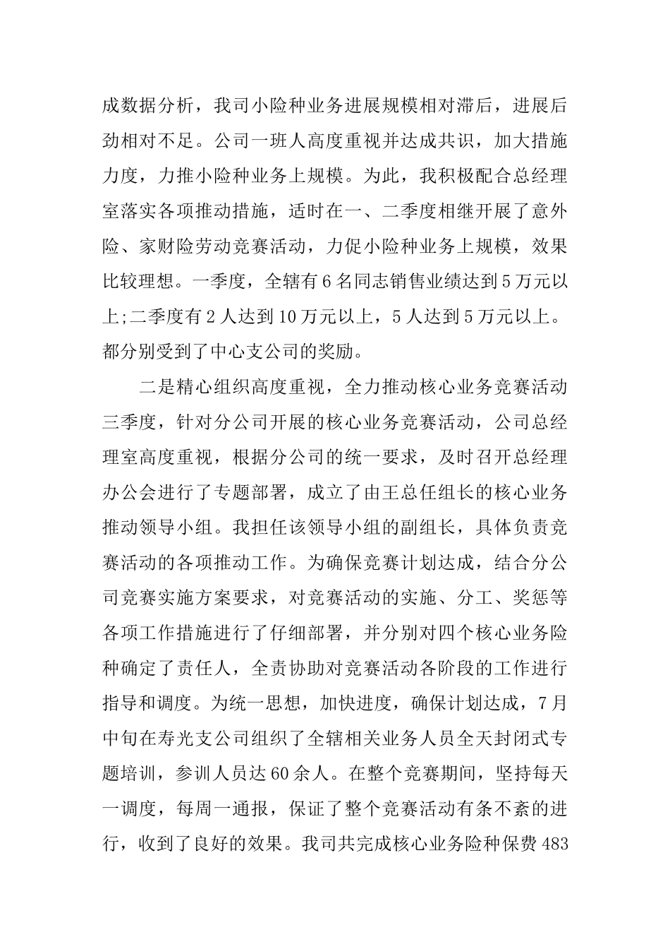 总裁的述职报告_第2页
