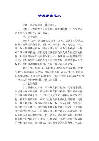 情况报告范文