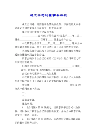 成立公司的董事会决议