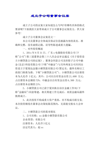 成立子公司董事会议案