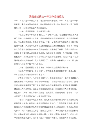 我们走过的这一年工作总结范文