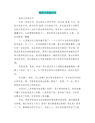 我的大学检讨书