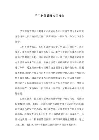 手工财务管理实习报告