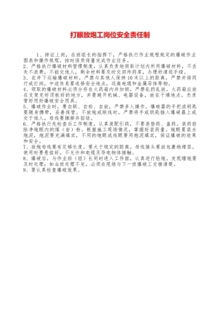 打眼放炮工岗位安全责任制——精品资料