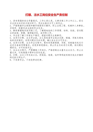 打眼、注水工岗位安全生产责任制——精品资料