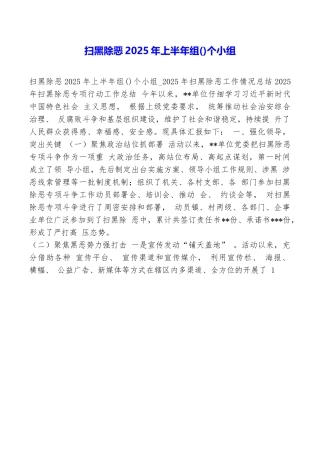 扫黑除恶2025年上半年组个小组