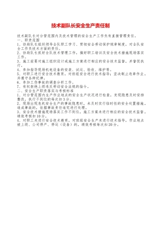 技术副队长安全生产责任制——精品资料
