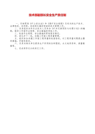 技术部副部长安全生产责任制——精品资料