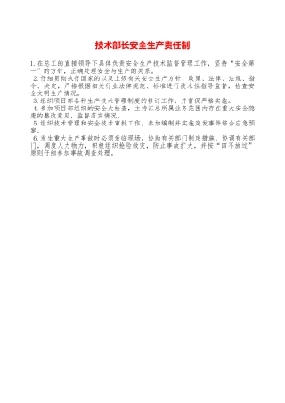 技术部长安全生产责任制——精品资料