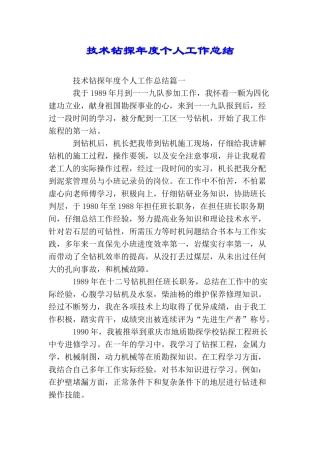 技术钻探年度个人工作总结
