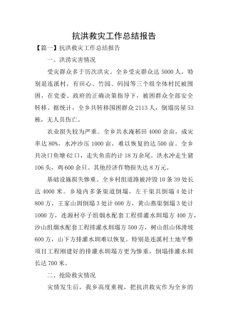 抗洪救灾工作总结报告