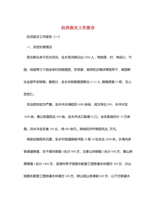 抗洪救灾工作报告