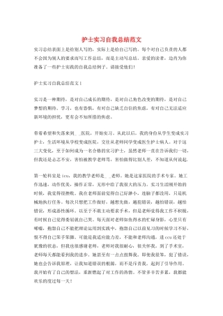 护士实习自我总结范文