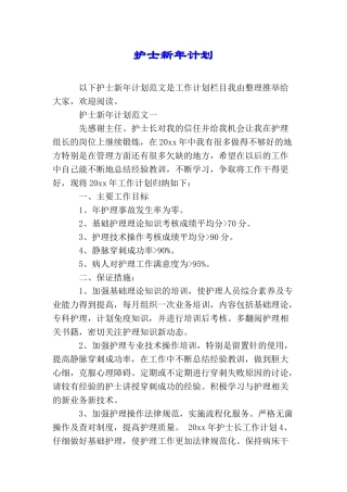 护士新年计划