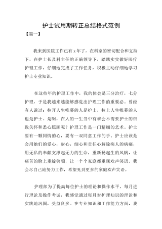 护士试用期转正总结格式范例