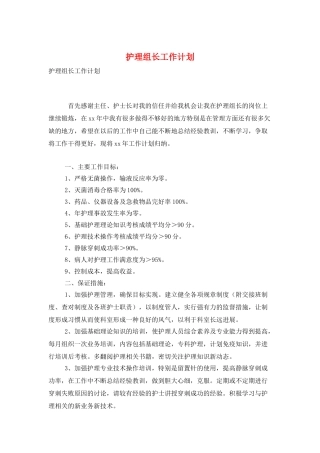 护理组长工作计划