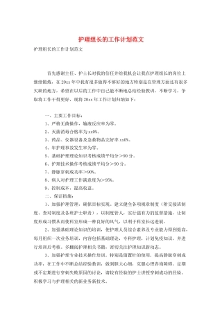 护理组长的工作计划范文